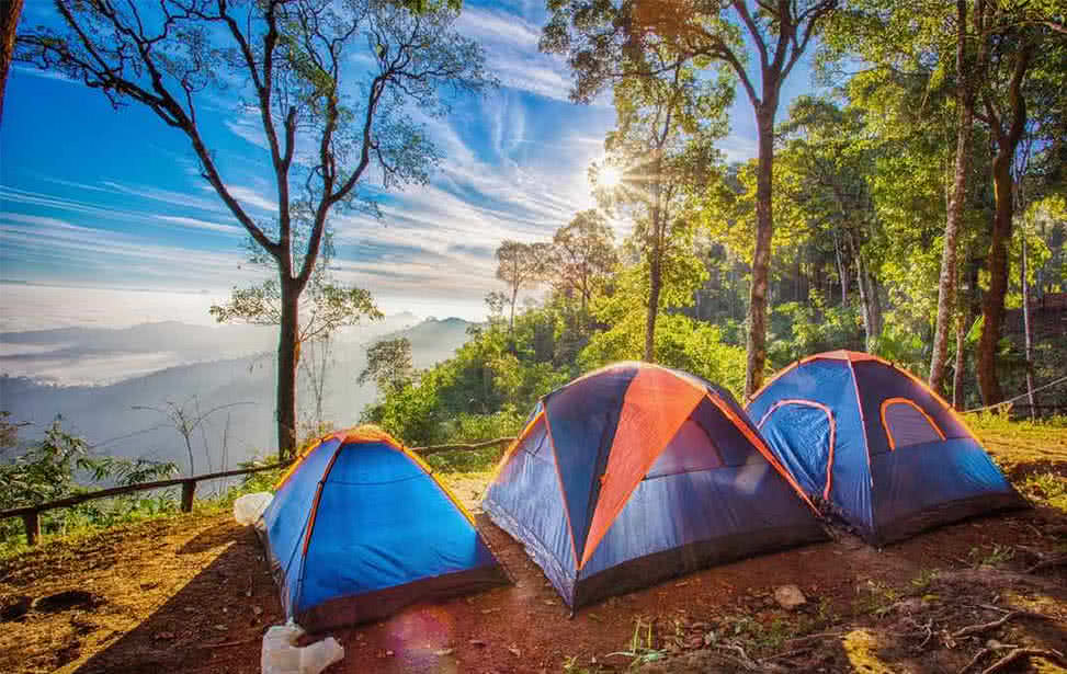 民宿露营相关产业