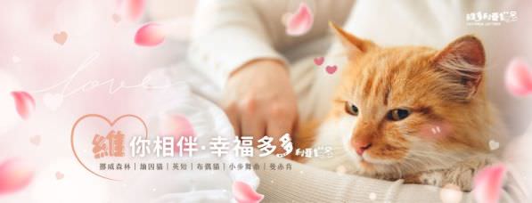 Facebook 社群脸书封面照片范例