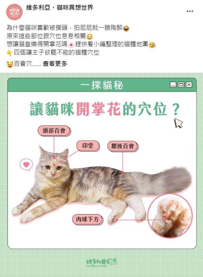 Facebook 社群贴文范例