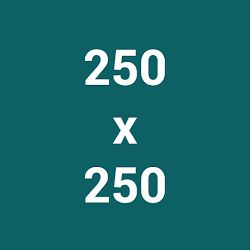 Google多媒体广告联播网广告行动版常用广告尺寸250x250