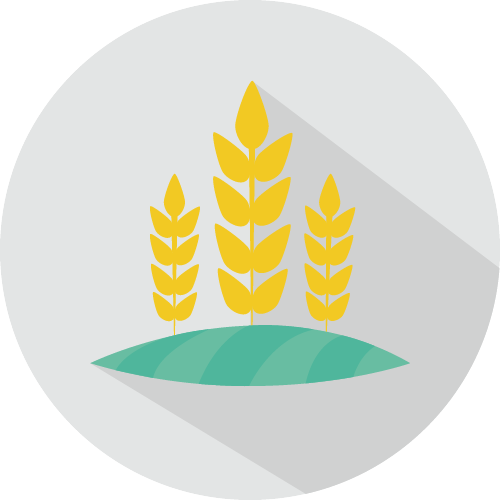 农产销售社群行销